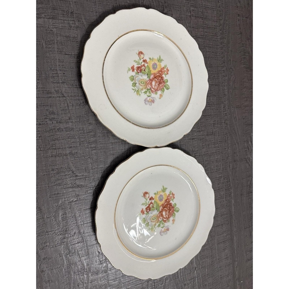 Vintage Canonsburg Floral Plates Set of 2 – 9" Scalloped Gold Trim – 1950s